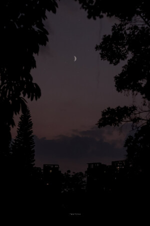 抹茶竹炭卷/weibo