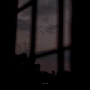 抹茶竹炭卷/weibo