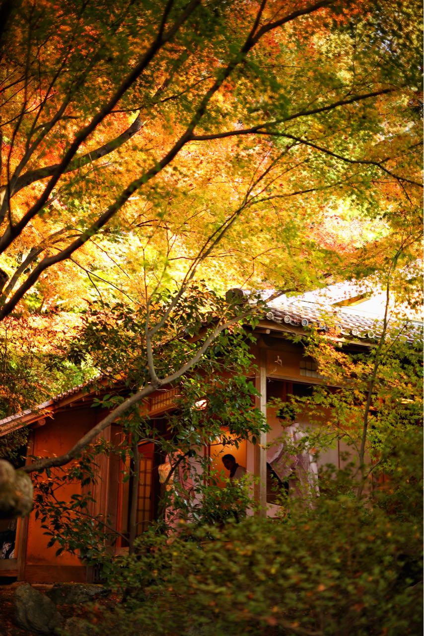 日本 青莲寺