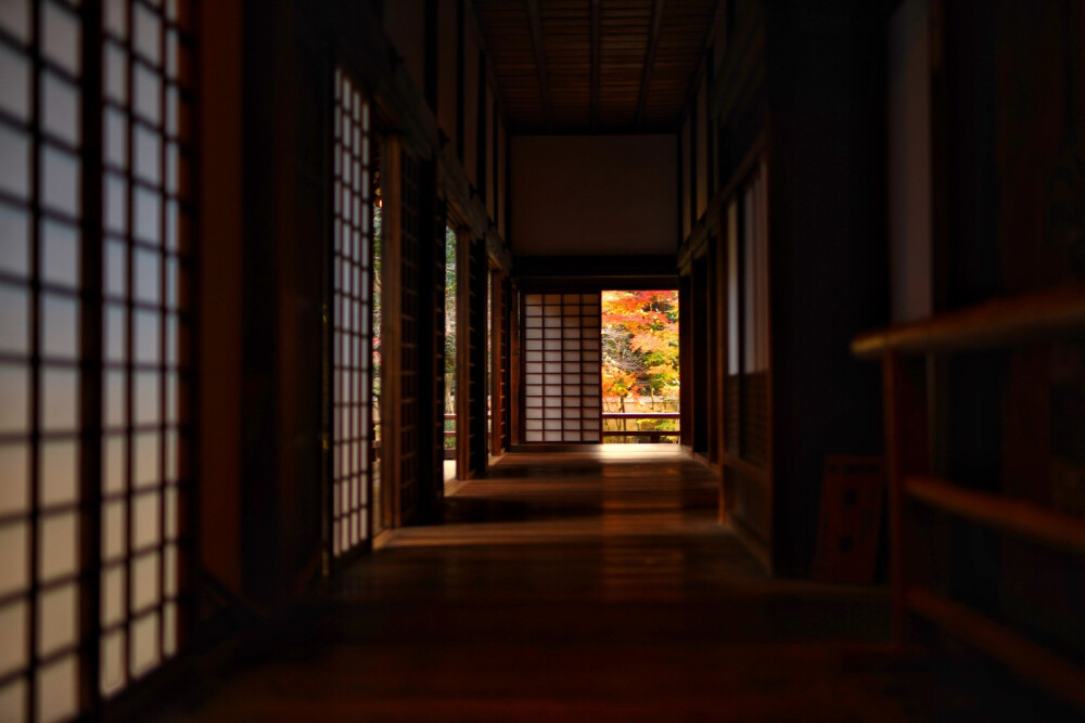 日本 青莲寺