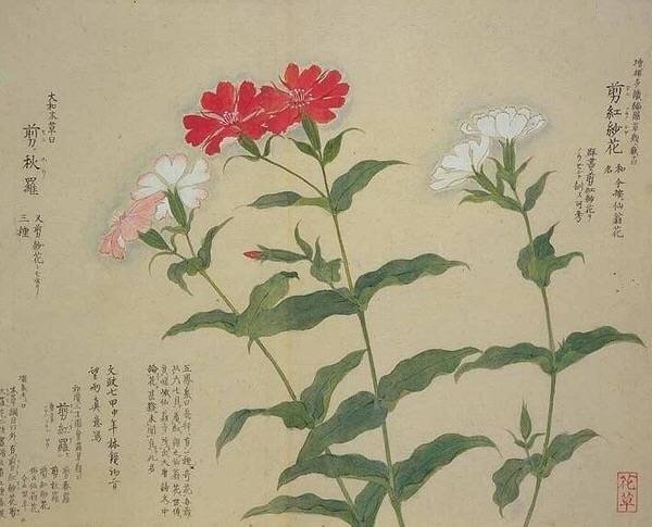 正月：兰蕙芬。瑞香烈。樱桃始葩。径草绿。望春初放。百花萌动。 二月：桃始夭。玉兰解。紫荆繁。杏花饰其靥。梨花溶。李花白。 三月：蔷薇蔓。木笔书空。棣萼韡韡。杨入大水为萍。海棠睡。绣球落。 四月：牡丹王。芍药相于阶。罂粟满。木香上升。杜鹃归。荼穈香梦。 五月：榴花照眼。萱北乡。夜合始交。薝匐有香。锦葵开。山丹赪。 六月：桐花馥。菡萏为莲。茉莉来宾。凌霄结。凤仙绛于庭。鸡冠环户。 七月：葵倾日。玉簪搔头。紫薇浸月。木槿朝荣。蓼花红。菱花乃实。 八月：槐花黄。桂香飘。断肠始娇。白蘋开。金钱夜落。丁香紫。 九月：菊有英。芙蓉冷。汉宫秋老。芰荷化为衣。橙橘登。山药乳。 十月：木叶落。芳草化为薪。苔枯萎。