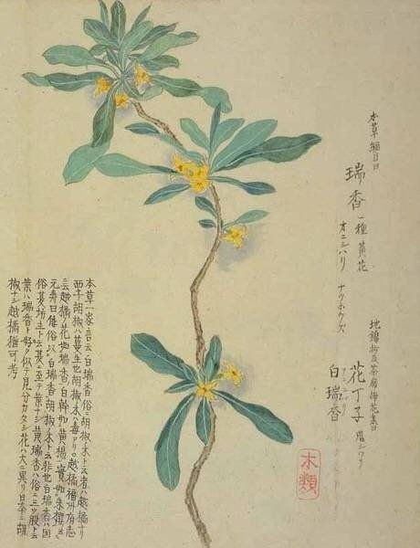 正月：兰蕙芬。瑞香烈。樱桃始葩。径草绿。望春初放。百花萌动。 二月：桃始夭。玉兰解。紫荆繁。杏花饰其靥。梨花溶。李花白。 三月：蔷薇蔓。木笔书空。棣萼韡韡。杨入大水为萍。海棠睡。绣球落。 四月：牡丹王。芍药相于阶。罂粟满。木香上升。杜鹃归。荼穈香梦。 五月：榴花照眼。萱北乡。夜合始交。薝匐有香。锦葵开。山丹赪。 六月：桐花馥。菡萏为莲。茉莉来宾。凌霄结。凤仙绛于庭。鸡冠环户。 七月：葵倾日。玉簪搔头。紫薇浸月。木槿朝荣。蓼花红。菱花乃实。 八月：槐花黄。桂香飘。断肠始娇。白蘋开。金钱夜落。丁香紫。 九月：菊有英。芙蓉冷。汉宫秋老。芰荷化为衣。橙橘登。山药乳。 十月：木叶落。芳草化为薪。苔枯萎。