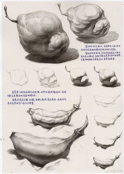 素描水果单体