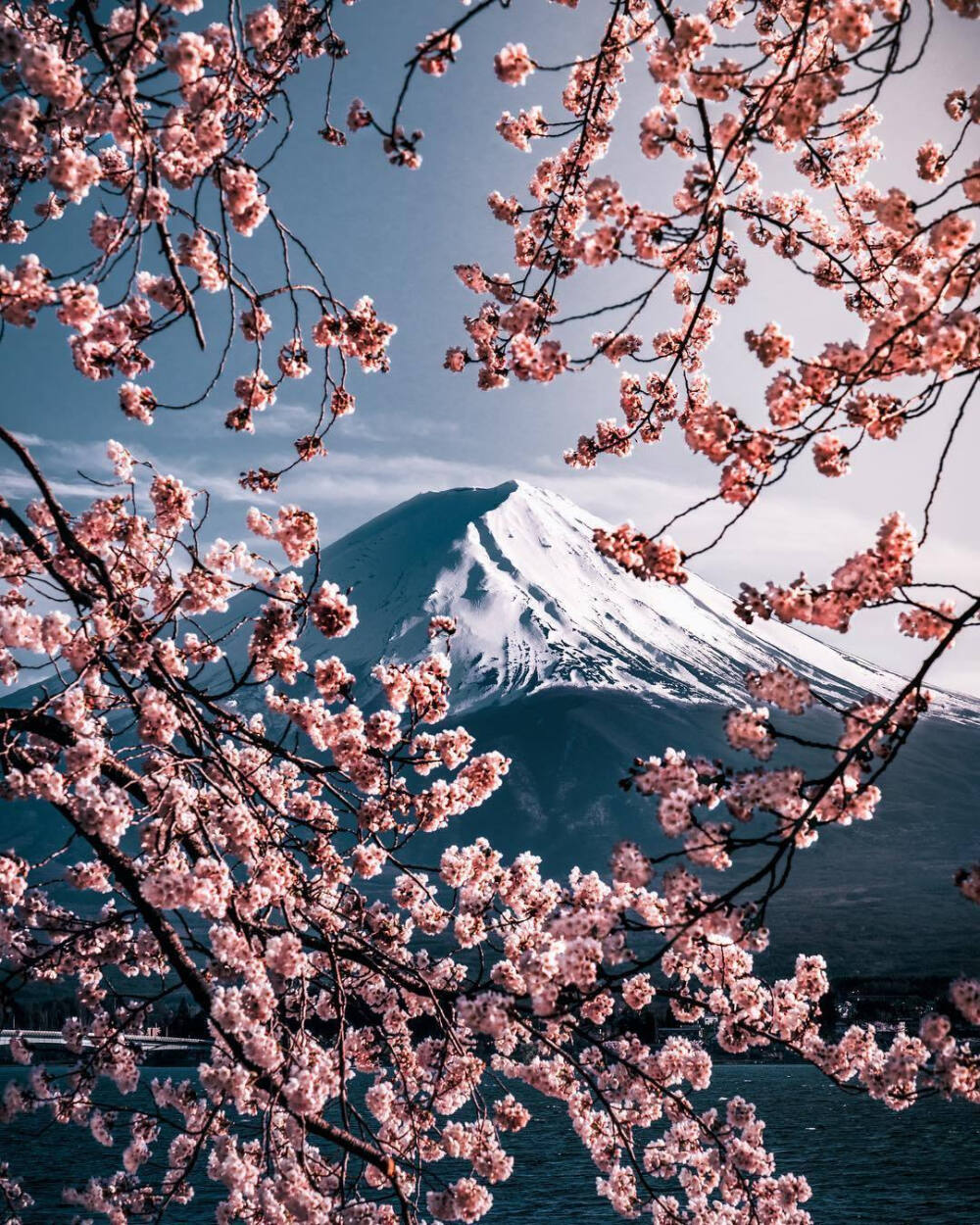 富士山