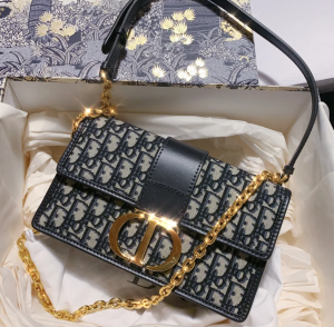 Dior 2020新款蒙田包 ￥ 1w8