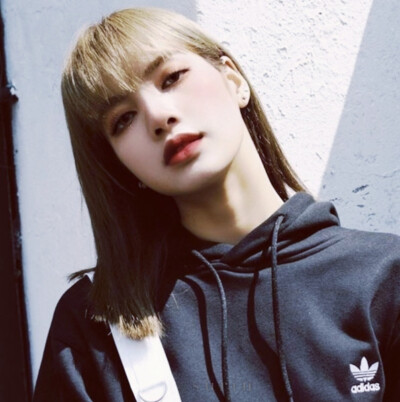 Lisa logo.surin