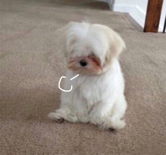 可可爱爱没有脑袋