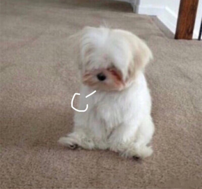 可可爱爱没有脑袋