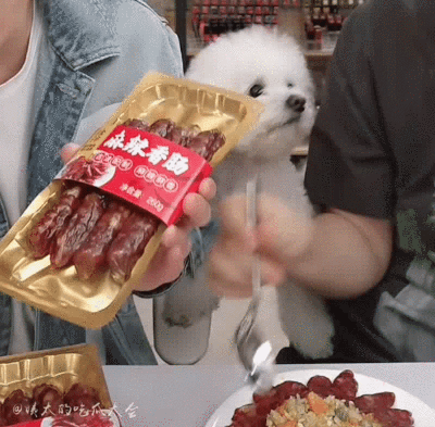 李佳琦的狗子还是这么可爱呜呜呜我心都化了