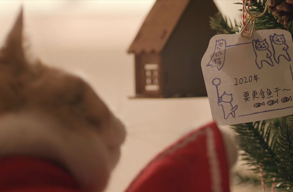 猫猫头像表情包