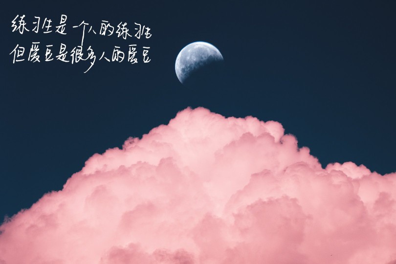 范丞丞语录。vb泅渡星河