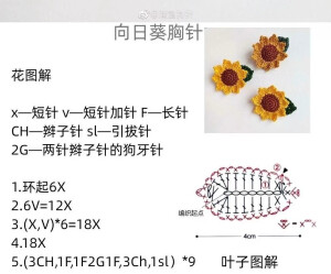 转自小红书