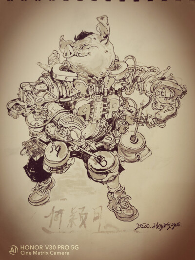 金政基叔叔的猪，画起来是真的香