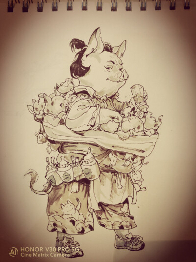 金政基叔叔的猪，画起来是真的香