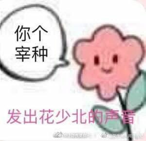 花少北