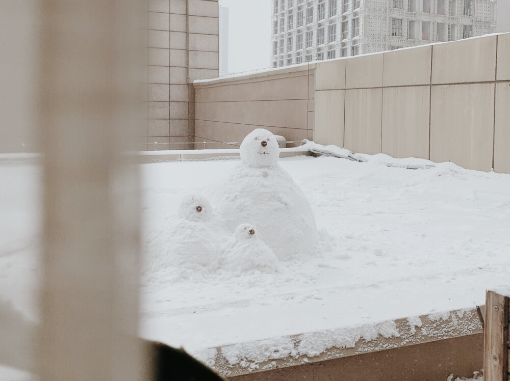 2020.2.6庚子年正月十三雪依旧下着
看着窗前雪孩子一家好有爱❤️