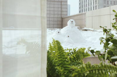 2020.2.7庚子年正月十四
太阳出来了是时候和新朋友雪孩子一家告别