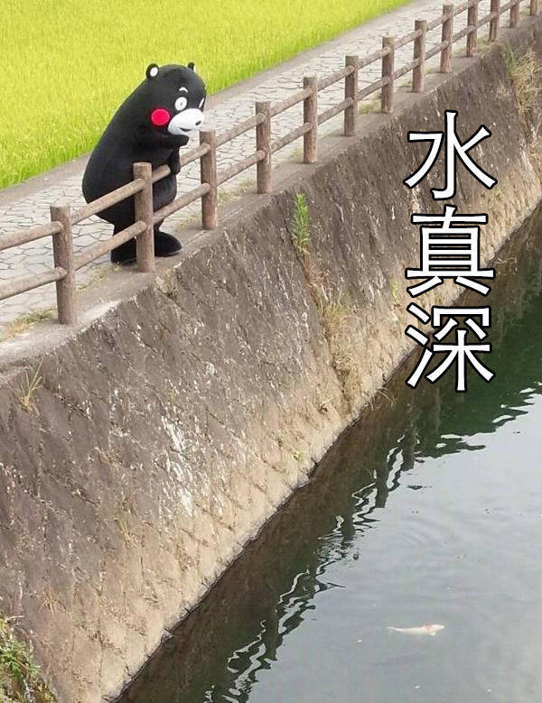 熊本熊