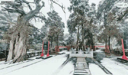 立春的第二天便下起了春雪，让我们以“雪为题玩组”飞花令“：在评论里写出带”雪“字的诗句白雪却嫌春色晚，故穿庭树作飞花。#北京大雪# #飞花令#