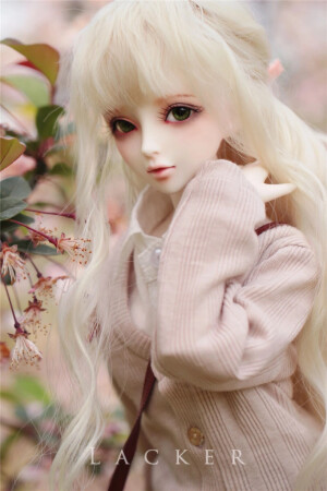 娃娃 bjd cd