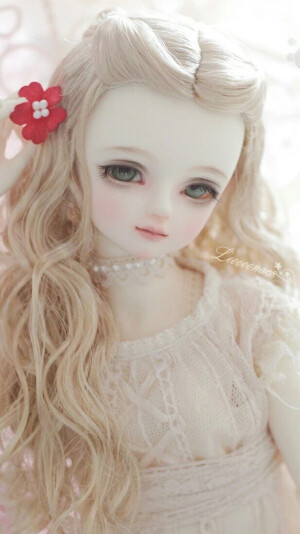 娃娃 bjd cd