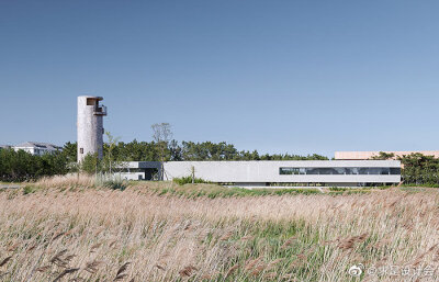 天鹅湖湿地公园景观廊及观鸟塔，山东 / 迹·建筑事务所(TAO).#求是爱设计#