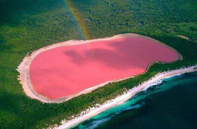 粉红色的希勒湖，澳大利亚