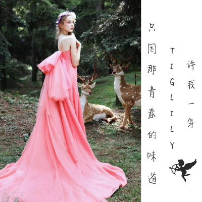 许我一身Tiglily