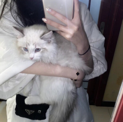 女头
二传注明堆糖 诗梦瑶