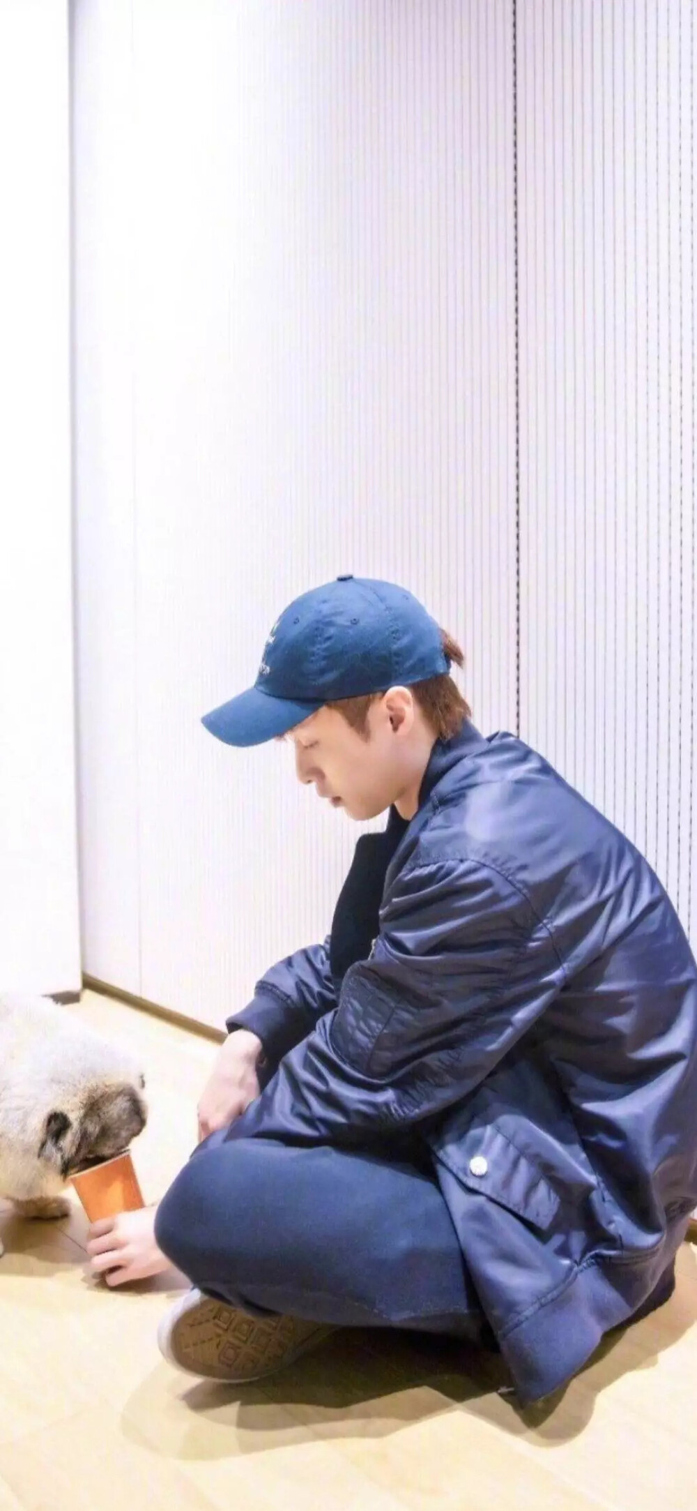 张艺兴
张艺兴壁纸