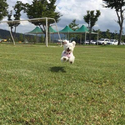 九月份的好运正向你飞奔而来