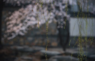 春来南国花如绣，雨过西湖水似油。早安