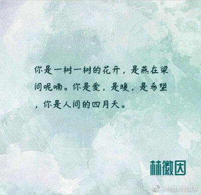 林徽因宝藏语录～