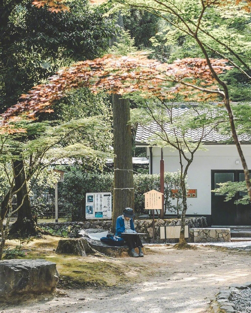 記憶中的夏天