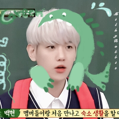 小啵萝兔 补药②改②传