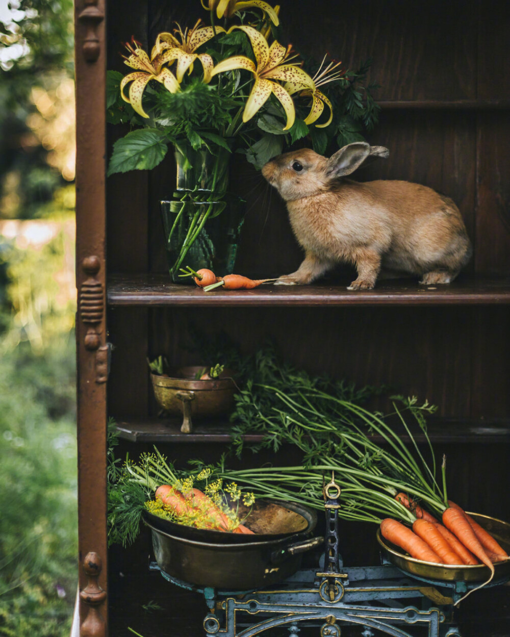 野餐