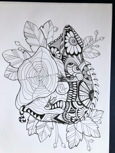 线描一组（动物植物儿童画）