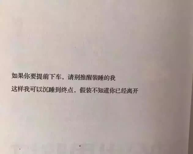 你说把爱放开，会渐渐走远 我说玫瑰离开，过明年再来。