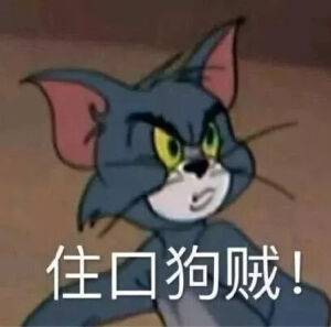 猫和老鼠