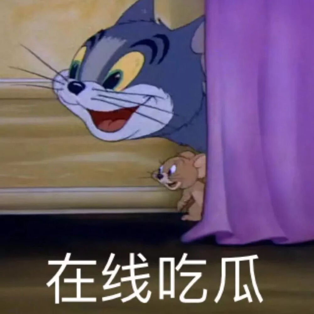 猫和老鼠