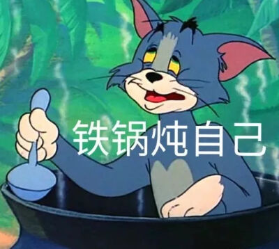 猫和老鼠