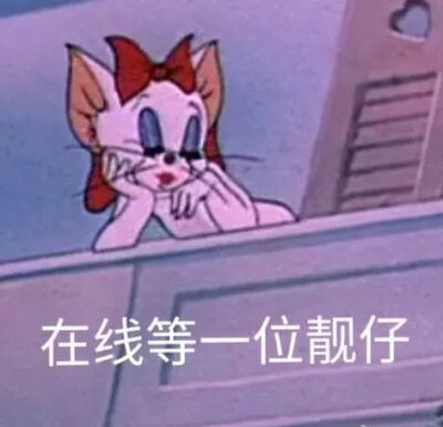 猫和老鼠