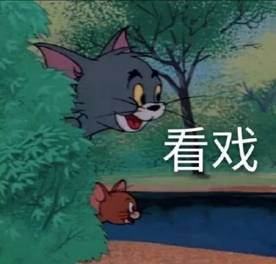 猫和老鼠