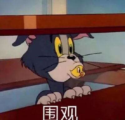 猫和老鼠