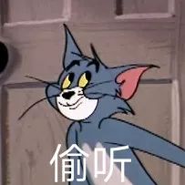 猫和老鼠