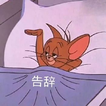 猫和老鼠