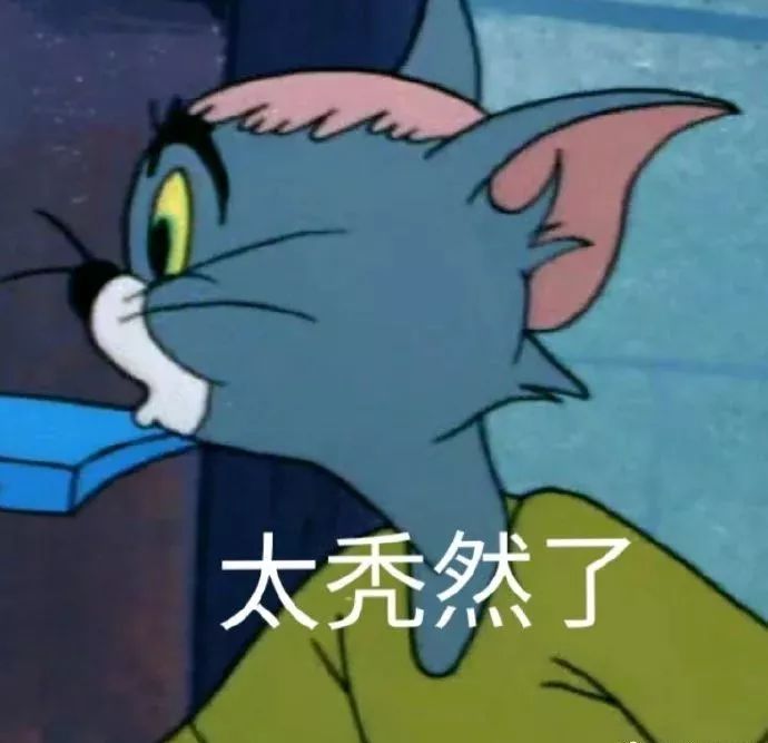 猫和老鼠