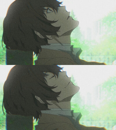 文豪野犬手机壁纸。