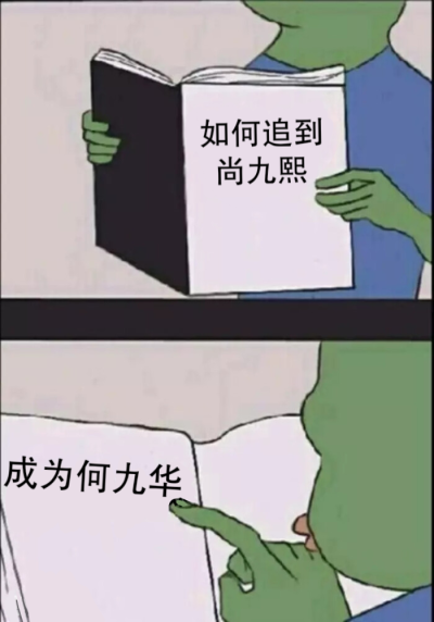 尚九熙何九华