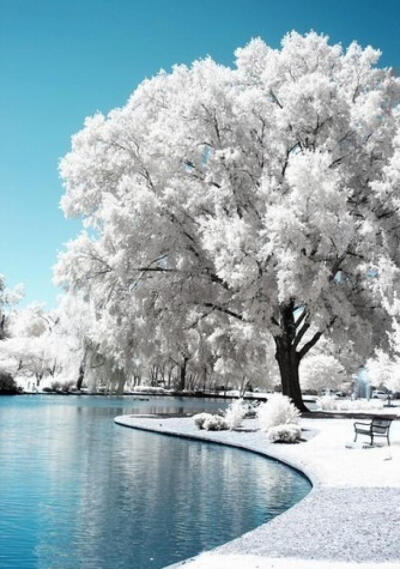 冬天 雪景 梦幻 安静 风景